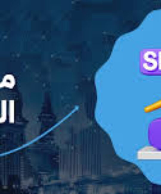 السيو التقني